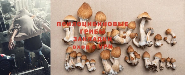 a pvp Приозерск